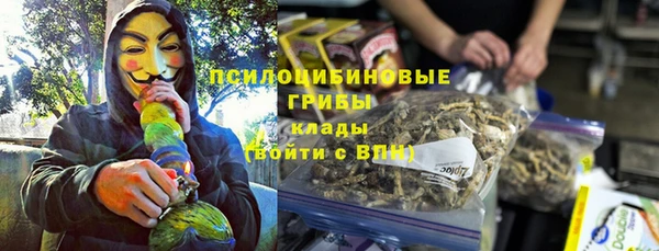прущие крисы Аркадак